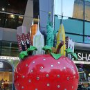 쉐이크쉑 서면 이미지