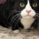 온아동물의료센터 이미지