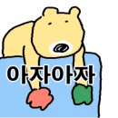 커몬댕댕 광주애견유치원&애견호텔 이미지