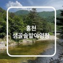 내린천솔밭힐링캠핑장 | 홍천 계곡 캠핑장 샘골솔밭캠핑장 A5 |위치 명당 내돈내산|