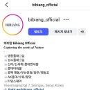 비씨홀딩스(주)서울지점 | [니치향수] 비비앙- 월넛그릭그린&amp;콜린 후기 (내돈내산) / 집들이 선물 / 향수 추천/ 찐 비누향/ 샤워...