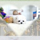 기다리다 이미지