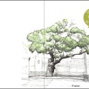 회화나무 도서관 이미지