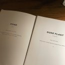 테라피플랜츠 이미지