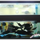 삼거리횟집 이미지