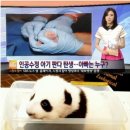 수정-136 이미지