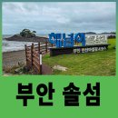 부안 솔섬 여행 ｜ 일몰 명소로만 알았는데 낮 간조 풍경이 특별한 곳