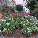 우신공인중개사무소 이미지