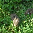 풍원농장 이미지