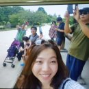 니죠성 / 후기 / 이용후기 / 교토 / 스타벅스 텀블러 / 교토한정 / 일본가이드 / 오사카 / 간사이 / 송영