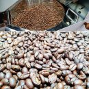 아인커피바리스타학원