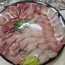장어이야기