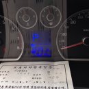 나채육카마스타 이미지