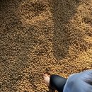 방화근린공원 이미지