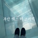 엑스더스카이_ 스카이99 | 부산 해운대 가볼 만한 곳 엑스더스카이 엘시티 전망대 후기