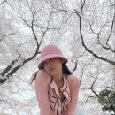 시로리 네이버블로그