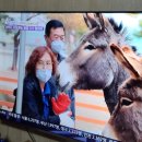 용오름농촌체험휴양마을 이미지