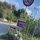 진송오리 이미지