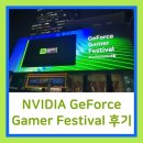 코리아타이거즈태권도 | 2025 NVIDIA GeForce 게이머 페스티벌 후기