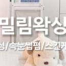 403왁싱