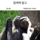 (주)쥐비네트 | 📂 7월 주간일기 | 비에 젖고, 웃고, 여름을 버틴 2주 기록
