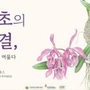 머물다 이미지