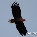 하천(갑천5-1) 이미지