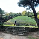 신문왕릉앞금어당 | 선덕여왕릉, 신문왕릉,사천왕사지 경주 역사여행 코스