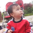 광명시어린이교통교육장 이미지