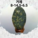 250017 이미지