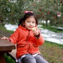 예솔농장 이미지