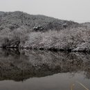 영양여자고등학교 이미지