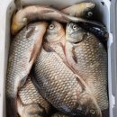 밤이 낮이 된다는 것 이미지