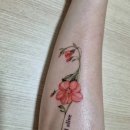 뉴홈고시텔 | 소소한 일상 정리 / 이직준비, 6번째 타투, 뉴아, 배인혁, 홈베이킹, 스쳐간 잔나비에 대한 그리움