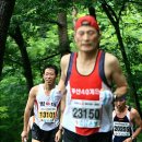 달리는숲