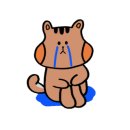 쉼전통차
