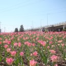 낙동강관리본부 화명생태공원 12 이미지