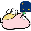 페이퍼로즈 이미지