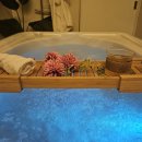 [마을배움터] 아로마테라피 | 서래마을 스파 스파휴리재｜방배동 디-머슬페인 스파 테라피 후기