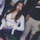 썬클럽 이미지
