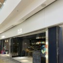 [홍콩 딤섬 맛집] Dim Sum Library 내돈내산 솔직후기