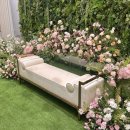 다르미앙 이미지