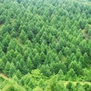 임업기계관리센터 이미지