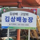 김상배농장 네이버블로그