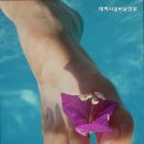 태백시실버요양원