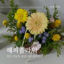 청주 산남동 꽃집 &#39;해피플라워&#39; 미니꽃바구니 후기