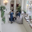 분당-189 | 드디어 돌끝맘 | 트와드고이 메종 후기zip.