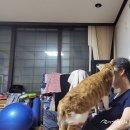 (주)동백투어 이미지