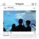 희망송지 복합문화센터 | [문화]금아연 해외캠프 - 오키나와로 떠나요✈️