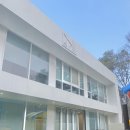 네이베이 솔리드 이미지